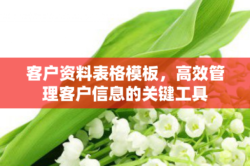 客户资料表格模板，高效管理客户信息的关键工具