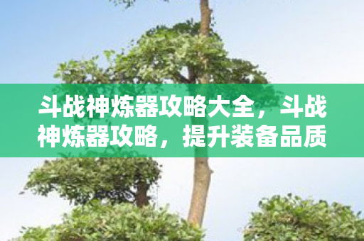 斗战神炼器攻略大全，斗战神炼器攻略，提升装备品质，轻松成为顶尖高手！