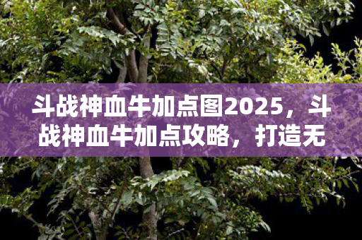 斗战神血牛加点图2025，斗战神血牛加点攻略，打造无敌战士