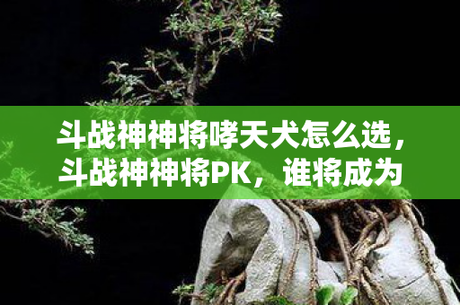 斗战神神将哮天犬怎么选，斗战神神将PK，谁将成为战场上的真正霸主？