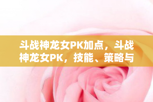 斗战神龙女PK加点，斗战神龙女PK，技能、策略与优势分析