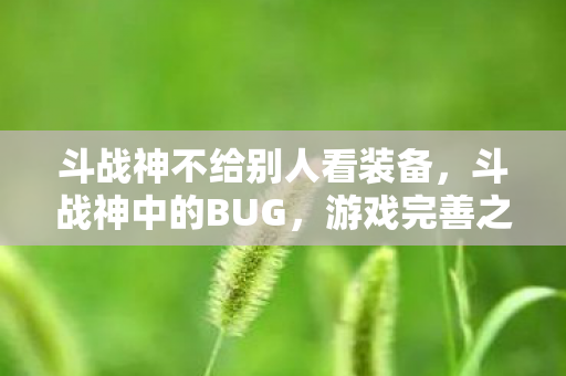 斗战神不给别人看装备，斗战神中的BUG，游戏完善之路的挑战与探索
