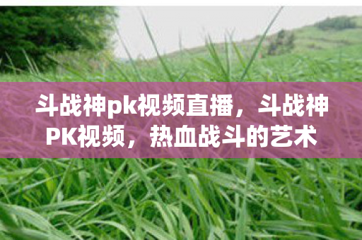 斗战神pk视频直播，斗战神PK视频，热血战斗的艺术展现