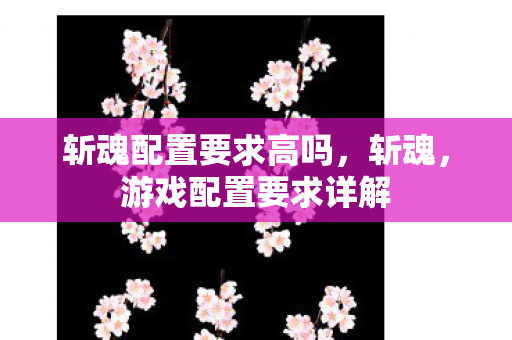 斩魂配置要求高吗，斩魂，游戏配置要求详解