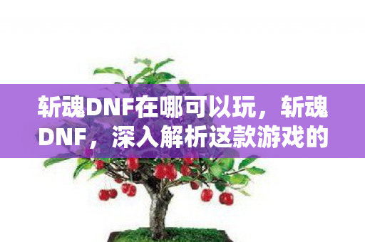 斩魂DNF在哪可以玩，斩魂DNF，深入解析这款游戏的魅力所在