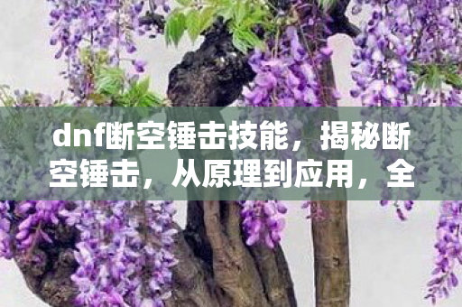 dnf断空锤击技能，揭秘断空锤击，从原理到应用，全方位解读这一神秘技巧