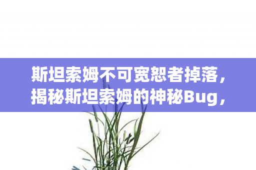 斯坦索姆不可宽恕者掉落，揭秘斯坦索姆的神秘Bug，一场数字世界的奇幻之旅