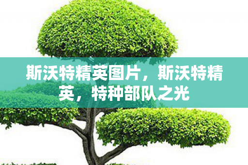 斯沃特精英图片，斯沃特精英，特种部队之光