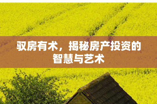 驭房有术，揭秘房产投资的智慧与艺术