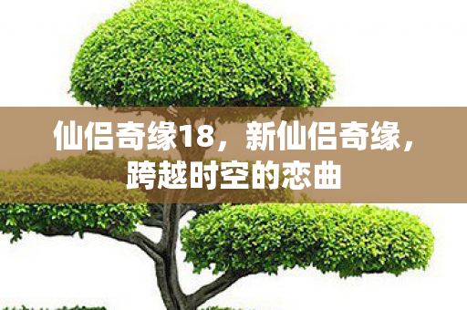 仙侣奇缘18，新仙侣奇缘，跨越时空的恋曲