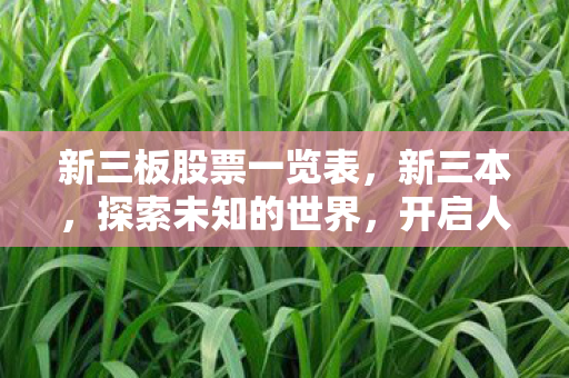 新三板股票一览表，新三本，探索未知的世界，开启人生的新篇章