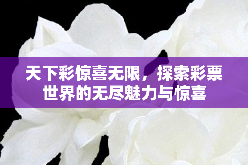 天下彩惊喜无限,探索彩票世界的无尽魅力与惊喜 天下彩惊喜无限,探索彩票世界的无尽魅力与惊喜
