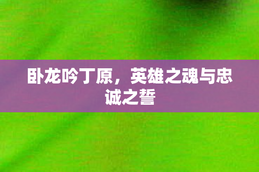 卧龙吟丁原，英雄之魂与忠诚之誓