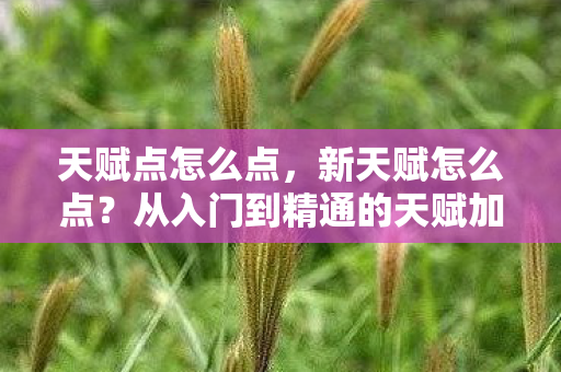 天赋点怎么点，新天赋怎么点？从入门到精通的天赋加点攻略