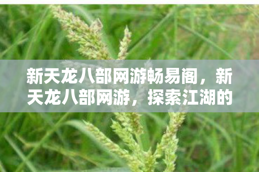 新天龙八部网游畅易阁，新天龙八部网游，探索江湖的新篇章