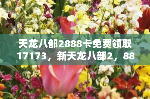 天龙八部2888卡免费领取17173，新天龙八部2，888卡免费领取攻略