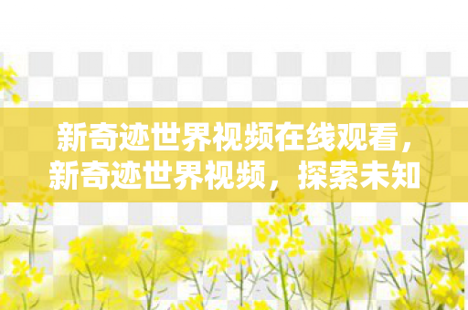 新奇迹世界视频在线观看，新奇迹世界视频，探索未知领域的奇幻之旅