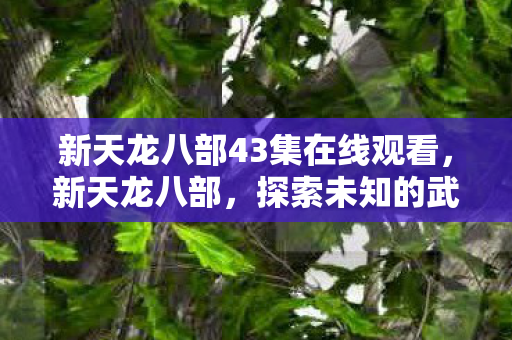 新天龙八部43集在线观看，新天龙八部，探索未知的武侠世界—一位自媒体作者的深度体验