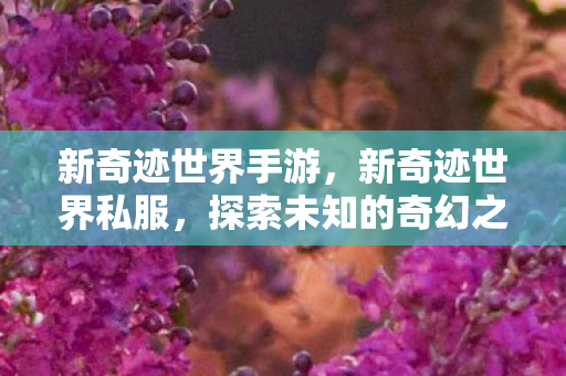 新奇迹世界手游，新奇迹世界私服，探索未知的奇幻之旅