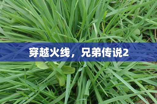 穿越火线，兄弟传说2