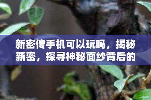 新密传手机可以玩吗，揭秘新密，探寻神秘面纱背后的故事