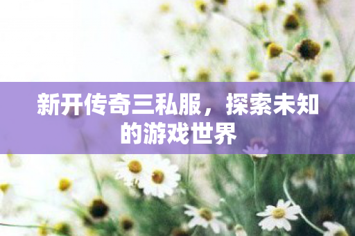 新开传奇三私服，探索未知的游戏世界