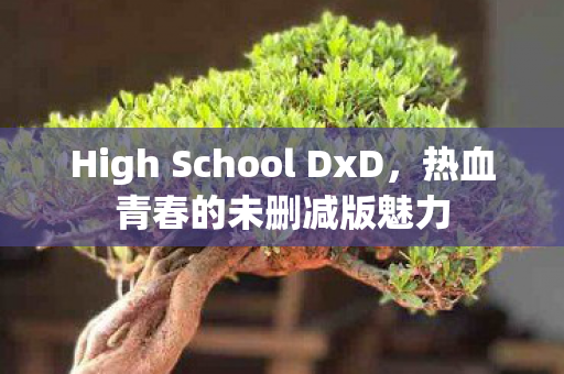 High School DxD,热血青春的未删减版魅力 High School DxD,热血青春的未删减版魅力