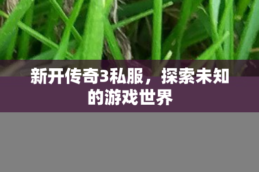 新开传奇3私服，探索未知的游戏世界
