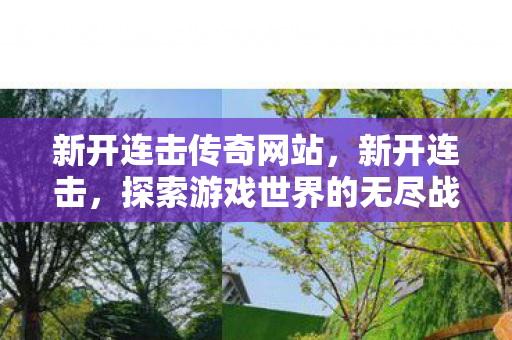 新开连击传奇网站，新开连击，探索游戏世界的无尽战斗激情