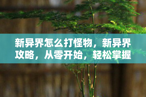 新异界怎么打怪物，新异界攻略，从零开始，轻松掌握攻略技巧
