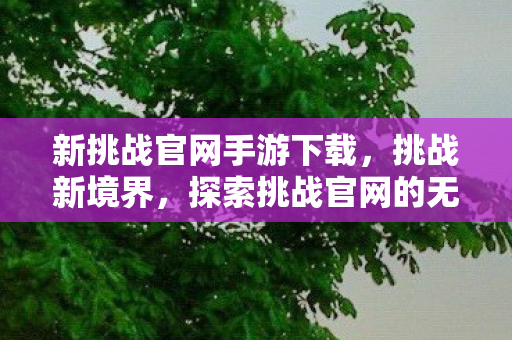 新挑战官网手游下载，挑战新境界，探索挑战官网的无尽魅力