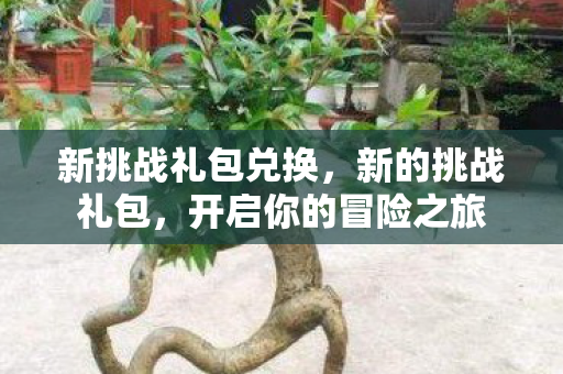 新挑战礼包兑换，新的挑战礼包，开启你的冒险之旅