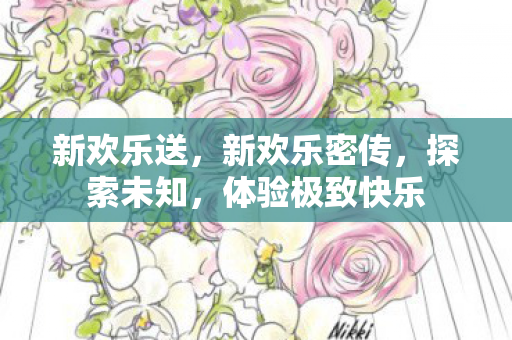 新欢乐送，新欢乐密传，探索未知，体验极致快乐