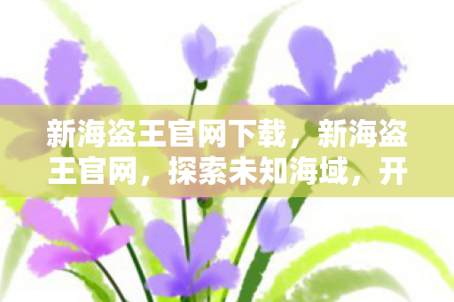 新海盗王官网下载，新海盗王官网，探索未知海域，开启海盗冒险之旅！