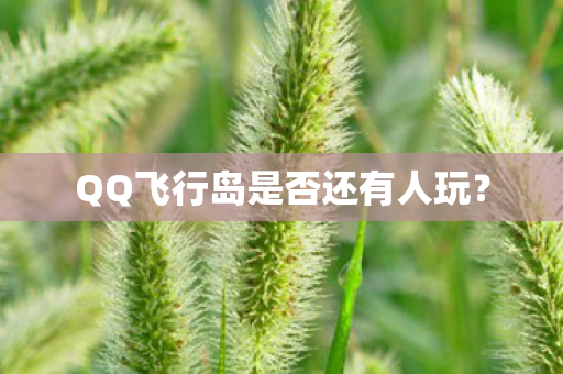 QQ飞行岛是否还有人玩？