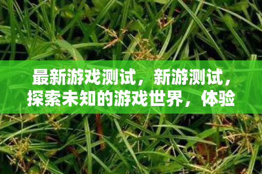 最新游戏测试，新游测试，探索未知的游戏世界，体验前所未有的冒险之旅