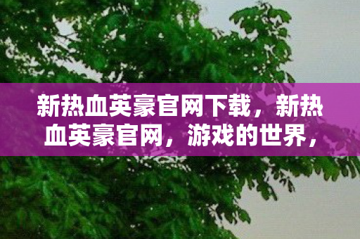 新热血英豪官网下载，新热血英豪官网，游戏的世界，玩家的乐园