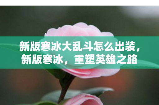 新版寒冰大乱斗怎么出装，新版寒冰，重塑英雄之路