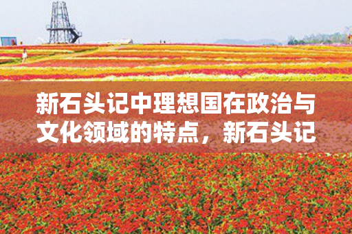 新石头记中理想国在政治与文化领域的特点，新石头记ol，探寻古老传说中的神秘宝藏
