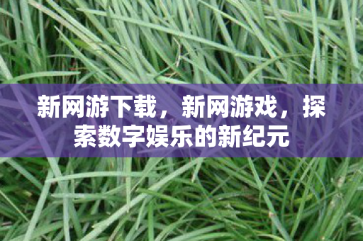 新网游下载，新网游戏，探索数字娱乐的新纪元