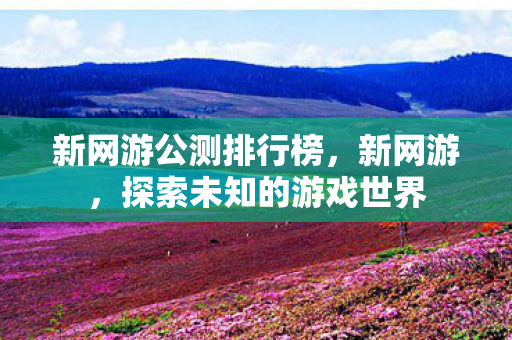 新网游公测排行榜，新网游，探索未知的游戏世界