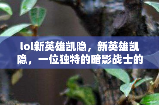 lol新英雄凯隐，新英雄凯隐，一位独特的暗影战士的崛起