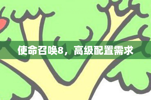 使命召唤8，高级配置需求