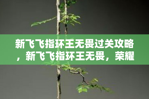 新飞飞指环王无畏过关攻略，新飞飞指环王无畏，荣耀与冒险的传奇之旅