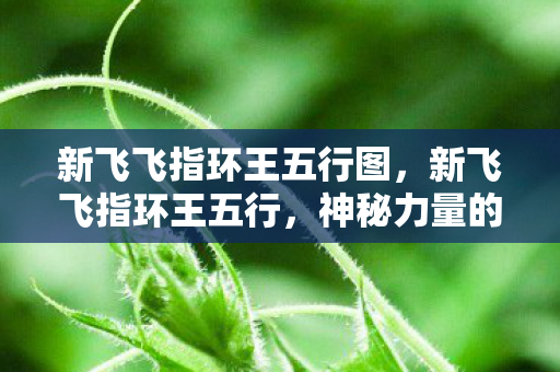 新飞飞指环王五行图，新飞飞指环王五行，神秘力量的五行解读与探索