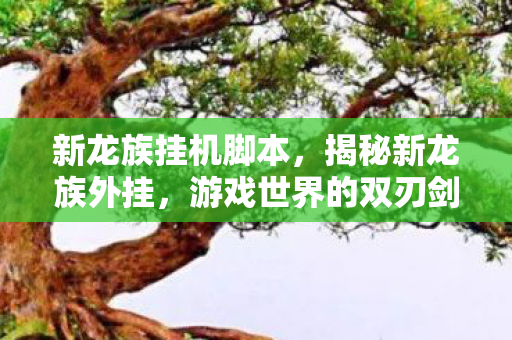 新龙族挂机脚本，揭秘新龙族外挂，游戏世界的双刃剑
