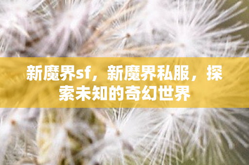 新魔界sf，新魔界私服，探索未知的奇幻世界