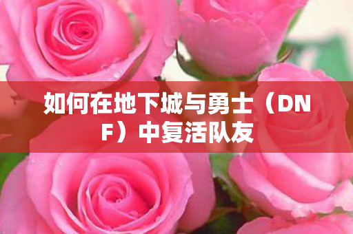 如何在地下城与勇士（DNF）中复活队友