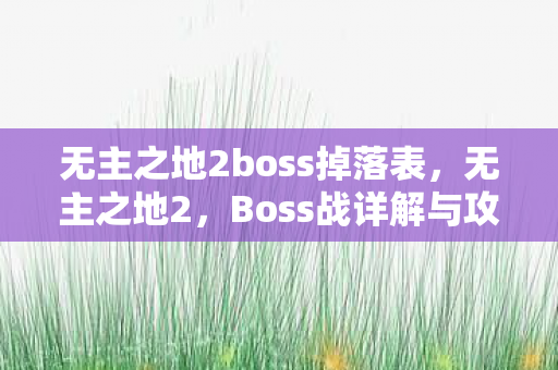 无主之地2boss掉落表，无主之地2，Boss战详解与攻略秘籍