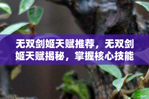 无双剑姬天赋推荐，无双剑姬天赋揭秘，掌握核心技能，成为顶尖战士！